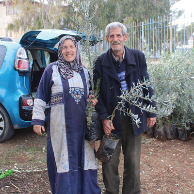 Two people holding olive tree saplings.