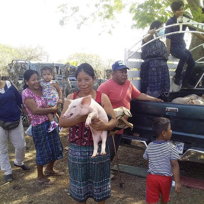 A group of adults and children gathered around a pickup truck, while someone holds a pig.