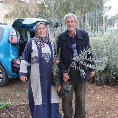 Two people holding an olive tree seedling.